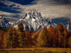 WYOMING Mount Moran